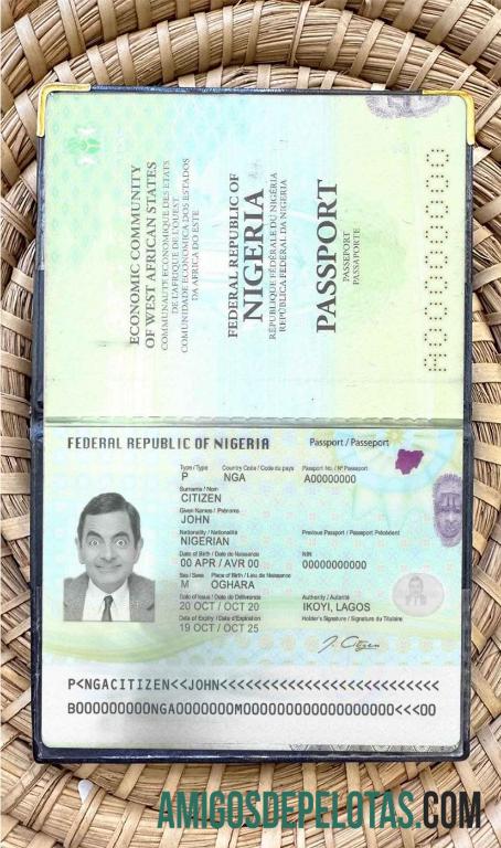 Passaporte da Nigéria (presente em 2019) Visual fotográfico modelo